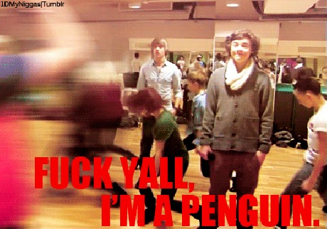 Harry >Penguin (: